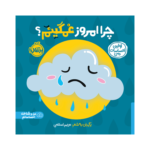 کتاب اولین احساسات من: چرا امروز غمگینم؟
