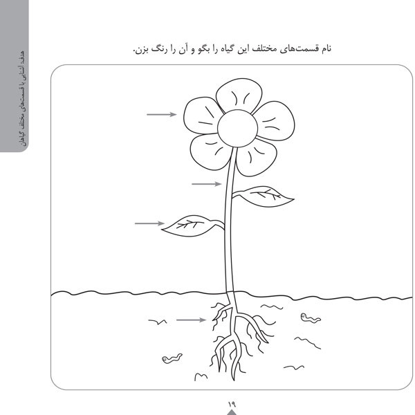 کودک باهوش من:5 سالگی (مفاهیم ساده ی علوم)