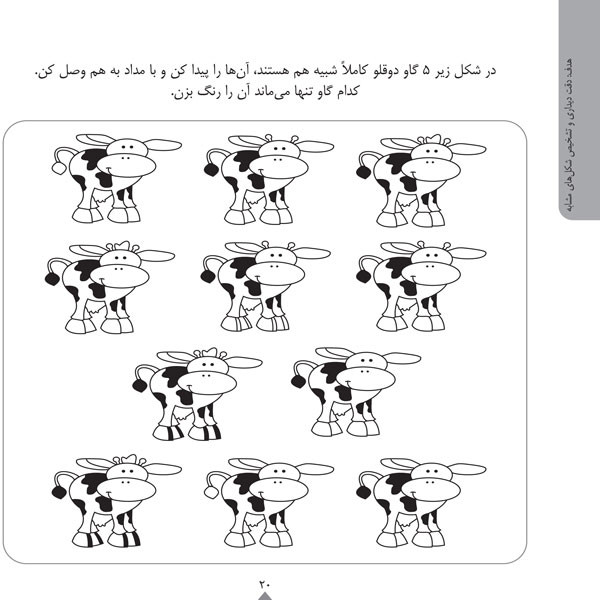 کودک باهوش من:5 سالگی (پرورش دقت و توجه)